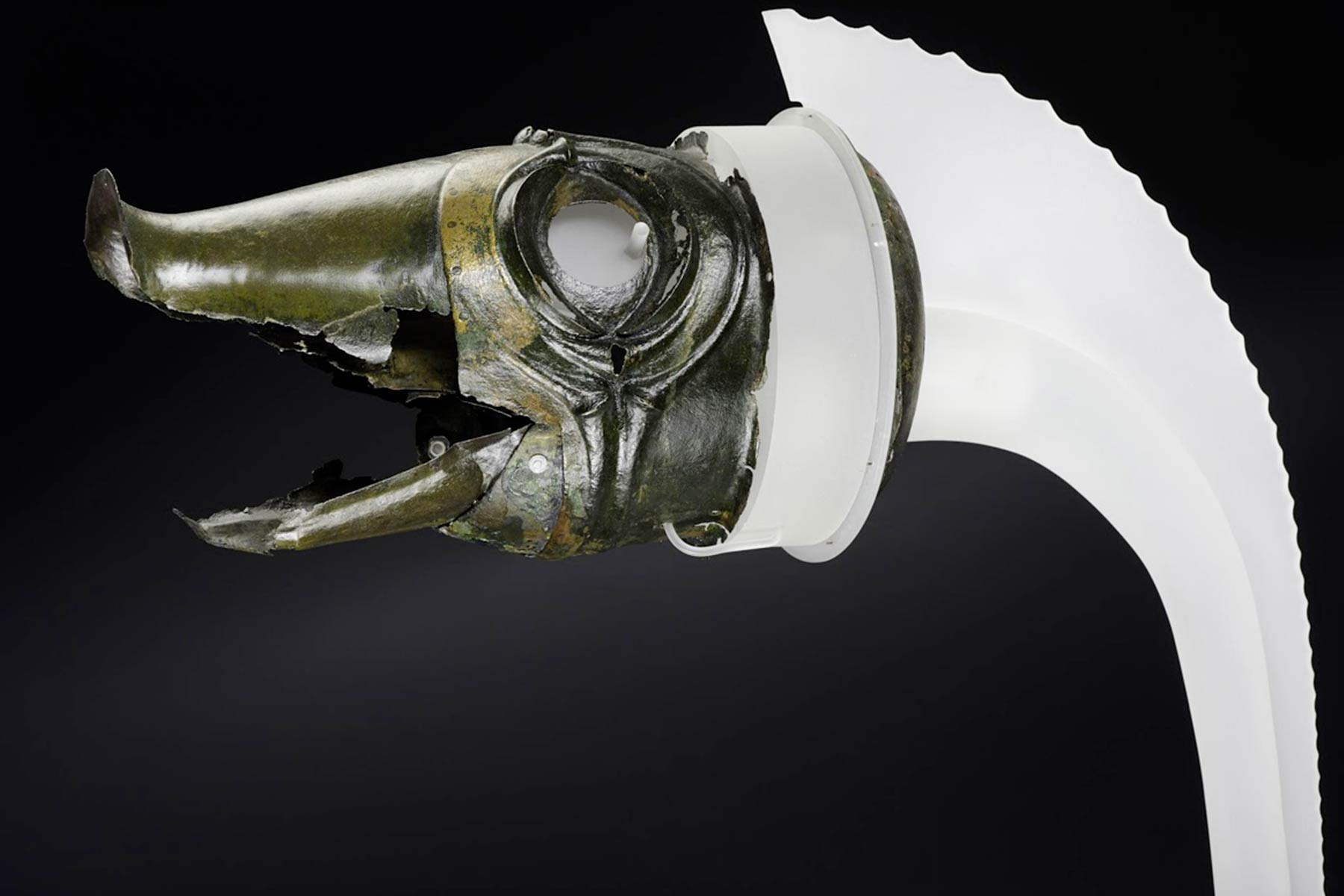 Fonti Storiche del Clan Celtico Il Lupo e la Civetta dell'Associazione Antichi Popoli